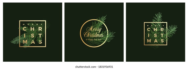 Merry Christmas Abstract Vector Classy Labels, Signs or Background Templates Set. Hand Drawn Fir-Needle Spruce Branch Illustrations with Golden Framed Typography Premium Holiday Greeting Cards Bundle.