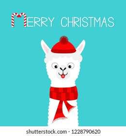 Merry Christmas. Alpaca llama baby face neck. Santa Claus red hat, scarf. Cute cartoon funny kawaii character. Happy New Year. Greeting card print. Flat design. Blue background. Vector illustration