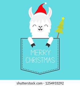 Merry Christmas. Alpaca llama sitting in the pocket. Santa hat. Fir tree. Face and hands. Happy New Year. Cute cartoon character. Hello winter. Blue background. Flat design. Vector illustration