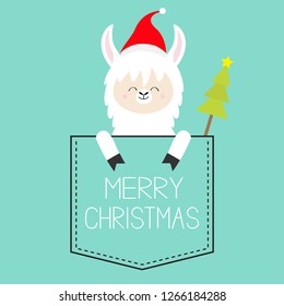 Merry Christmas. Alpaca llama sitting in the pocket. Santa hat. Fir tree. Face and hands. Cute cartoon character. Hello winter. Happy New Year. Blue background. Flat design. Vector illustration