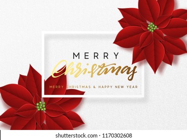 Merry Christmas, background decorated with beautiful red buds poinsettia flowers.