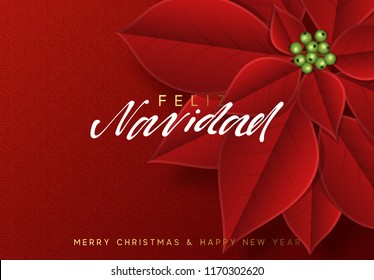 Merry Christmas, background decorated with beautiful red buds poinsettia flowers. Spanish text Feliz Navidad