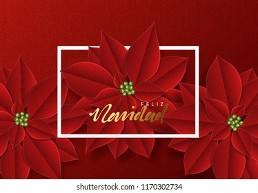 Merry Christmas, background decorated with beautiful red buds poinsettia flowers. Spanish text Feliz Navidad