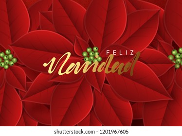 Merry Christmas, background decorated with beautiful red buds poinsettia flowers. Spanish text Feliz Navidad