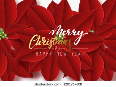 Merry Christmas, background decorated with beautiful red buds poinsettia flowers.