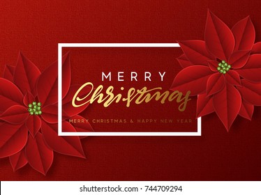 Merry Christmas, background decorated with beautiful red buds poinsettia flowers.