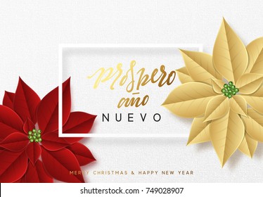 Merry Christmas, background decorated with beautiful red buds poinsettia flowers. Spanish text Prospero ano Nuevo