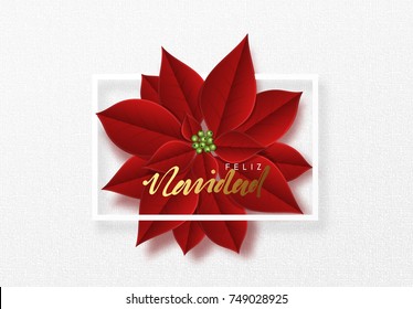 Merry Christmas, background decorated with beautiful red buds poinsettia flowers. Spanish text Feliz Navidad