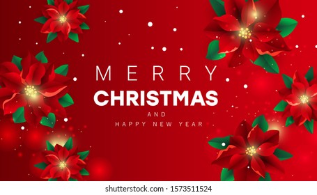 Merry Christmas background with Christmas flower poinsettia and greeting text on a red background.