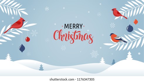 Merry Christmas background with tree branches and red birds, vector greeting card, poster and banner