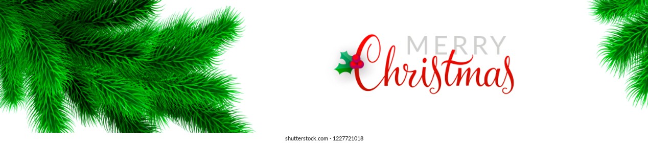 Merry Christmas background and vector banner design. Christmas tree branches frame and calligraphy "Merry Christmas"  lettering decorated with holly. Vector xmas illustration. EPS10