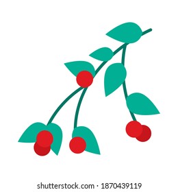 merry christmas berries with leaves design, winter season and decoration theme Vector illustration