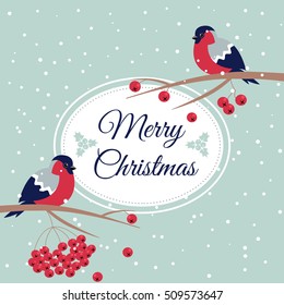 Merry Christmas Bullfinch Christmas Rowan Tree Branch Xmas Wish Postcard with Bullfinches,Rowan Branches,Snowflakes and Oval Frame Edging Dotted Line.December 25 greeting card and xmas bird snowflakes