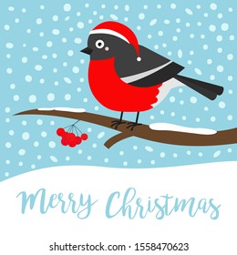 Merry Christmas. Bullfinch winter bird on rowan rowanberry sorb berry tree branch. Red Santa Claus hat. Cute cartoon baby character. Happy New Year. Flat design. Blue snow flake background. Vector