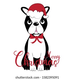 Merry Christmas- calligraphy with cute Boston terrier. Good for greeting card and  t-shirt print, flyer, poster design, mug.