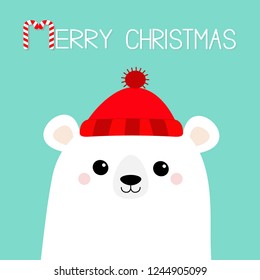 Merry Christmas. Candy Cane. Polar white bear cub face. Red hat. Happy New Year. Cute cartoon baby character. Arctic animal. Hello winter. Flat design. Hello winter Blue background Vector illustration