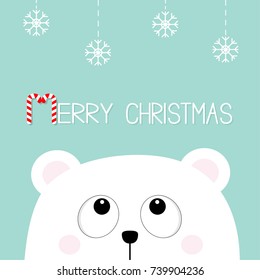 Merry Christmas Candy cane. Polar white little small bear cub head face looking up to hanging snow flake. Big eyes. Cute cartoon baby character. Arctic animal. Flat design Winter background. Vector