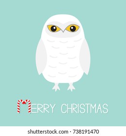 Merry Christmas Candy cane text. White Snowy owl. Sitting bird with wings. Yellow eyes. Arctic Polar baby animal. Flat design. Blue winter background. Vector illustration
