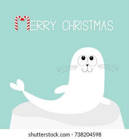 Merry Christmas Candy cane text. White sea lion. Harp seal pup lying on iceberg ice. Cute cartoon character. Happy baby animal collection. Sea ocean water. Blue background. Flat design Vector
