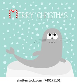 Merry Christmas Candy cane text. Sea lion. Harp seal pup lying on iceberg ice. Cute cartoon character. Happy baby animal collection. Sea ocean water. Winter snow flake background. Flat design Vector