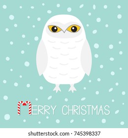 Merry Christmas Candy cane text. White Snowy owl. Sitting bird with wings. Yellow eyes. Arctic Polar baby animal. Flat design. Blue winter snow flake background. Vector illustration