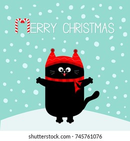 Merry Christmas candy cane text. Black Cat kitten. Red hat, scarf. Cute funny cartoon character on snowdrift. Flat design. Blue winter background with snow. Vector illustration