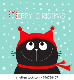 Merry Christmas candy cane text. Black Cat kitten head face looking up. Red hat, scarf. Cute funny cartoon character. Flat design. Blue winter background with snow. Vector illustration