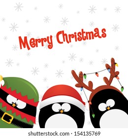 Merry Christmas Card