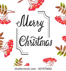 Merry Christmas card design with watercolor rowan branches with berries. Vector holiday illustration. 