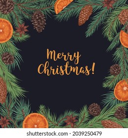 Merry Christmas card with fir branch border and background for text. Winter holiday postcard design with Xmas coniferous frame with orange fruit and cones decoration. Hand-drawn vector illustration