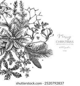 Merry Christmas card. Floral round composition. Evergreen plants sketches. Winter wedding design.Hand-drawn vector illustrations. NOT AI generated images