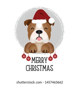 Merry Christmas card. Funny Dog in Christmas hat.