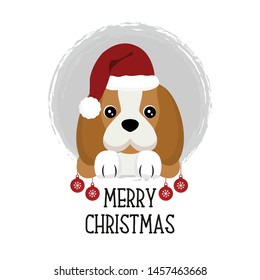 Merry Christmas card. Funny Dog in Christmas hat.