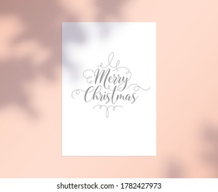 Merry Christmas Card with Lettering and Curls on White Paper Sheet with Tree Branches and Leaves Shadow on Pink Background. Xmas Holiday Greeting, Congratulation with Event. Vector Illustration