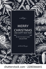 Merry Christmas card on chalkboard with evergreen plants, conifers, and nuts drawing. Winter design with hand-drawn botanical illustrations. Vintage Christmas background. New Year invitation template