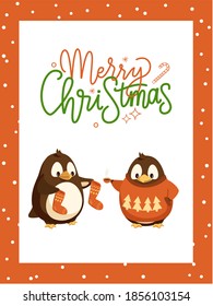 Merry Christmas card, penguin in knitwear with coffee cup. Arctic birds in sweater and socks, energetic drinks. Xmas holiday celebration, animals vector