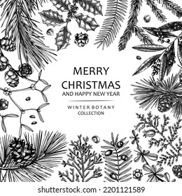 Merry Christmas card. Square frame with evergreen plants, conifers, cones drawing. Winter design with hand-drawn botanical illustrations. Christmas background. New Year invitation. Vintage template