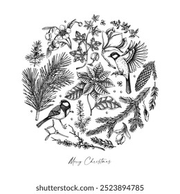 Merry Christmas card template. Evergreen plants, flower, bird sketches. Winter vector design. Hand-drawn botanical illustrations. NOT AI generated image