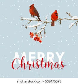 Merry Christmas Card. Winter Birds with Rowan Berries Banner. Vector