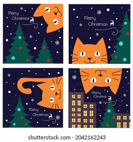 Merry Christmas cat. A funny story of a ginger cat at night. Set of four vector pictures 