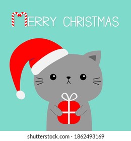 Merry Christmas. Cat holding red xmas gift box. Red Santa Claus hat. Cartoon kawaii character. Cute face icon. Kitten kitty. Funny baby pet animal. Candy cane. Flat design Blue background Vector