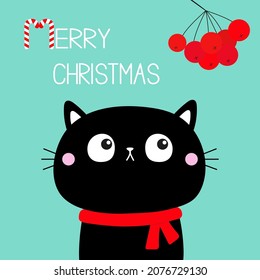 Merry Christmas. Cat kitten head face looks up to rowan berry. Red scarf. Cute cartoon kawaii character. Pet baby collection. Candy cane. Xmas Greeting card. Flat design. Blue background. Vector