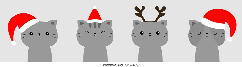 Merry Christmas cat set. Gray face icon in red santa hat. Line banner. Funny kawaii doodle baby animal. Cute cartoon funny character. Pet collection. Kitten kitty. Flat design. White background Vector