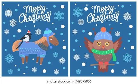 Merry Christmas collection of posters representing horse and bird, owl wearing knitted hat and scarf, image with snowflakes vector illustration