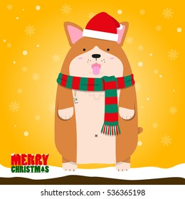 Merry Christmas cute big fat Welsh Corgi dog wear Santa hat and scarf on snow flake orange background.