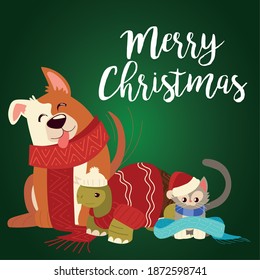 merry christmas cute dog turtle and cat with scarfs cartoon vector illustration