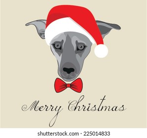 merry christmas dog b&w