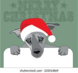 merry christmas dog b&w