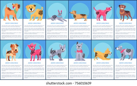 Merry Christmas festive posters with cartoon dogs of pure breeds with unusual fur color and pattern vector illustrations set with sample text.