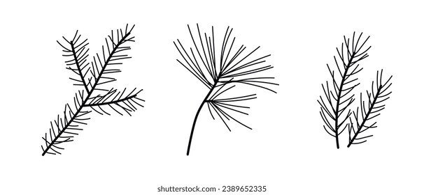 Merry Christmas fir tree branches. Hand drawn spruce branches. Twig of coniferous tree doodle set.